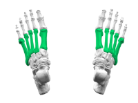 unnamed image