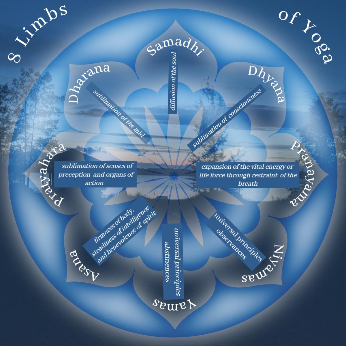 unnamed image
